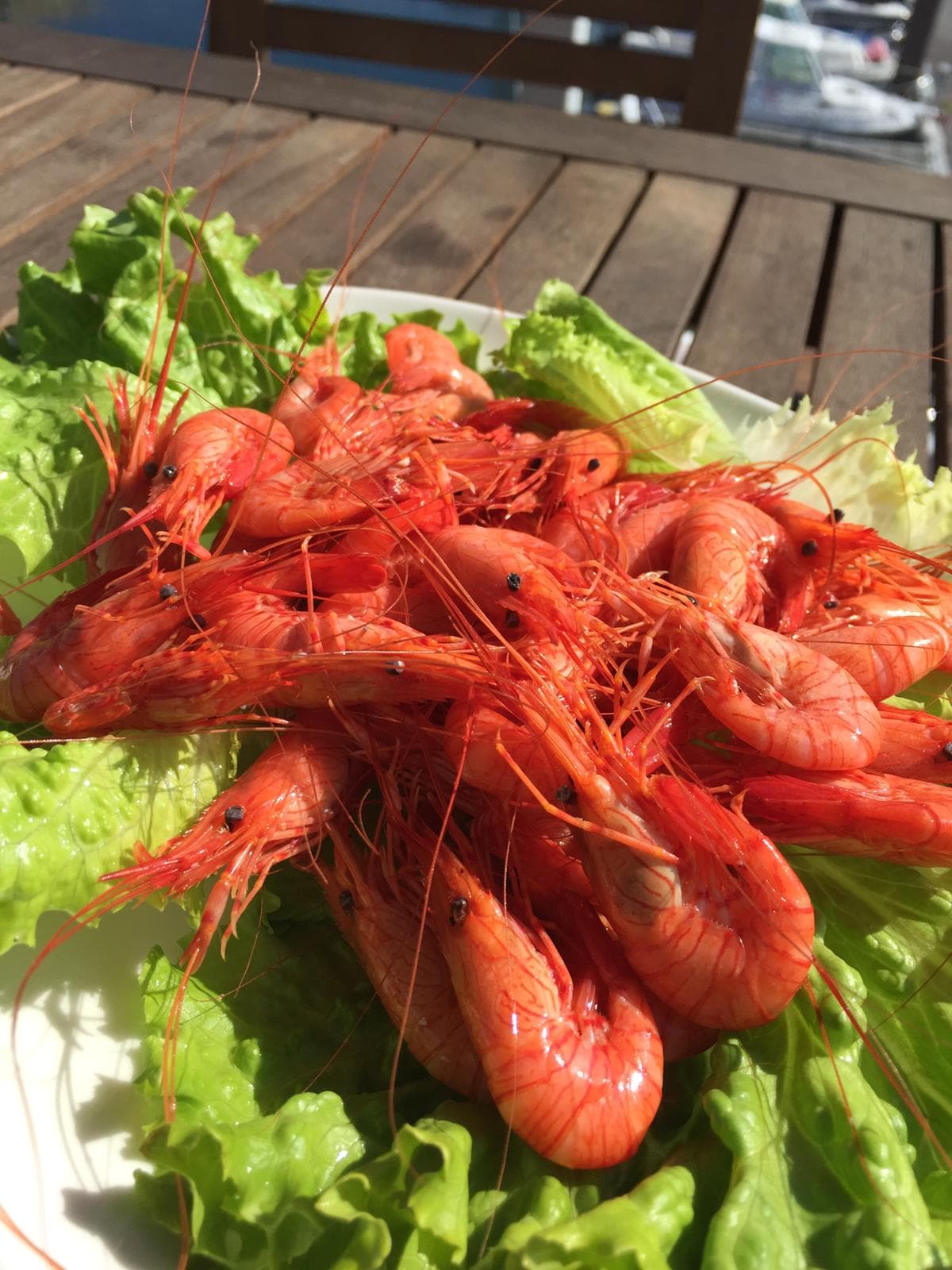 Sugerencias del día